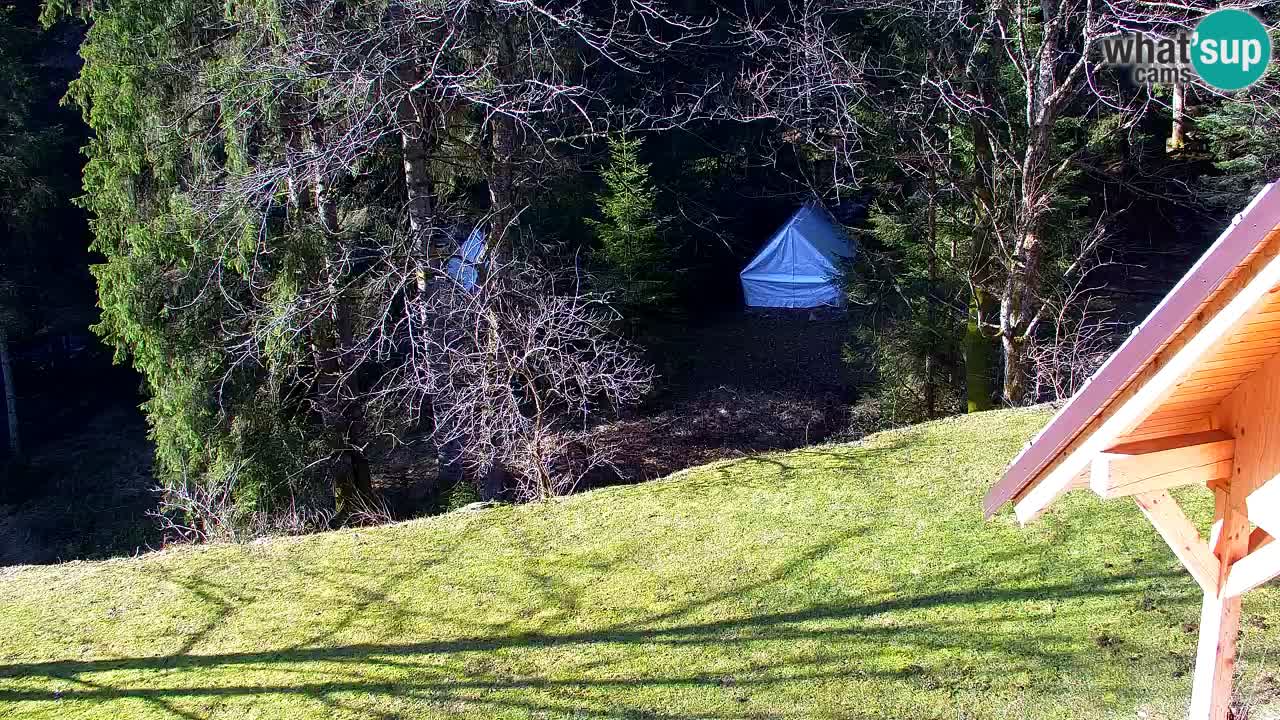 Webcam Lukanja – Water Village | Pohorje Houses