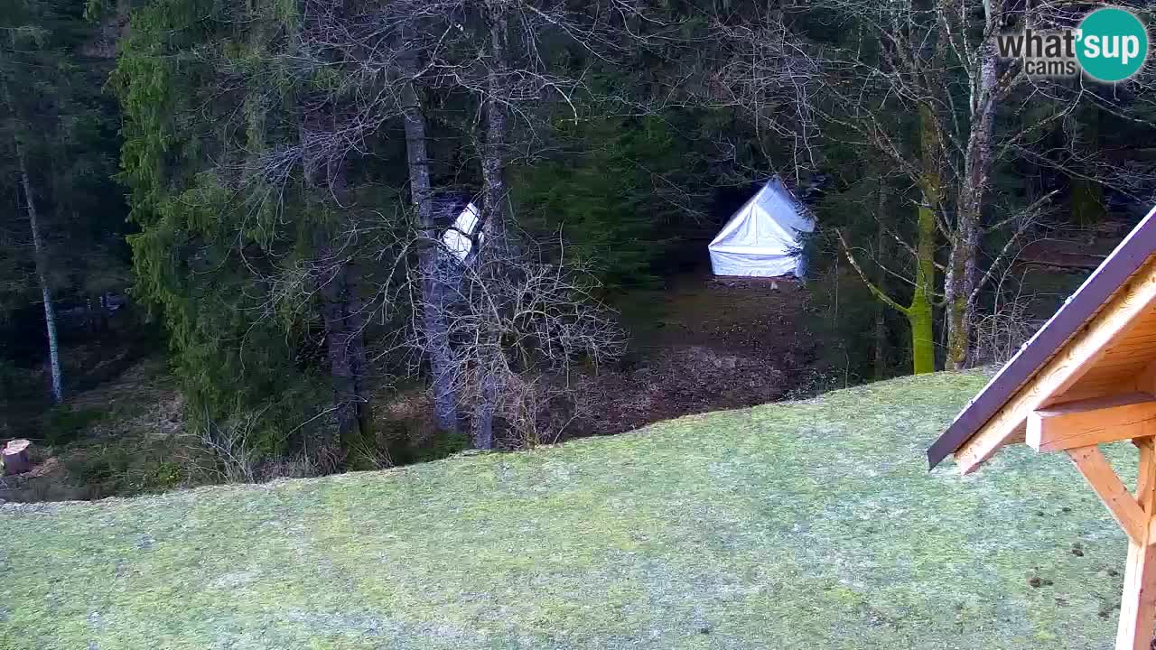 Webcam Lukanja – Water Village | Pohorje Houses