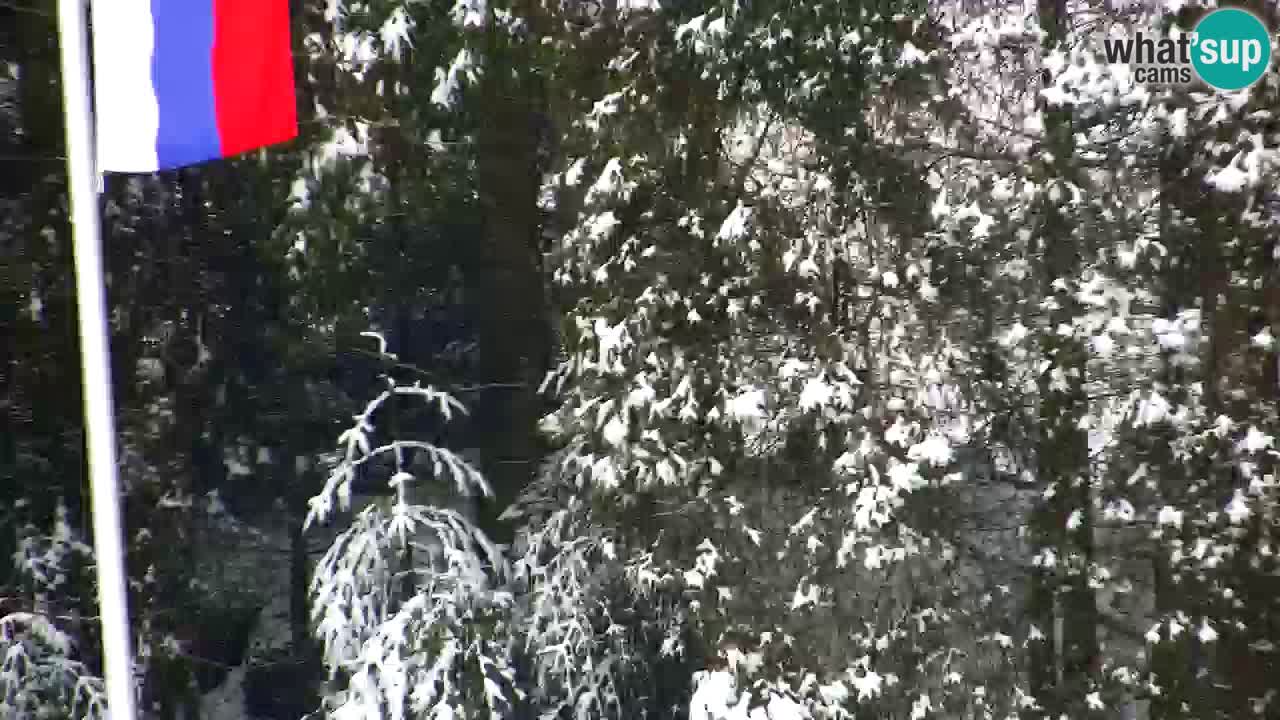 Webcam Lukanja – Water Village | Pohorje Houses