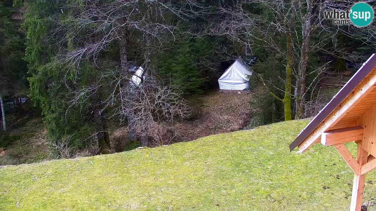 Webcam Lukanja – Water Village | Pohorje Houses