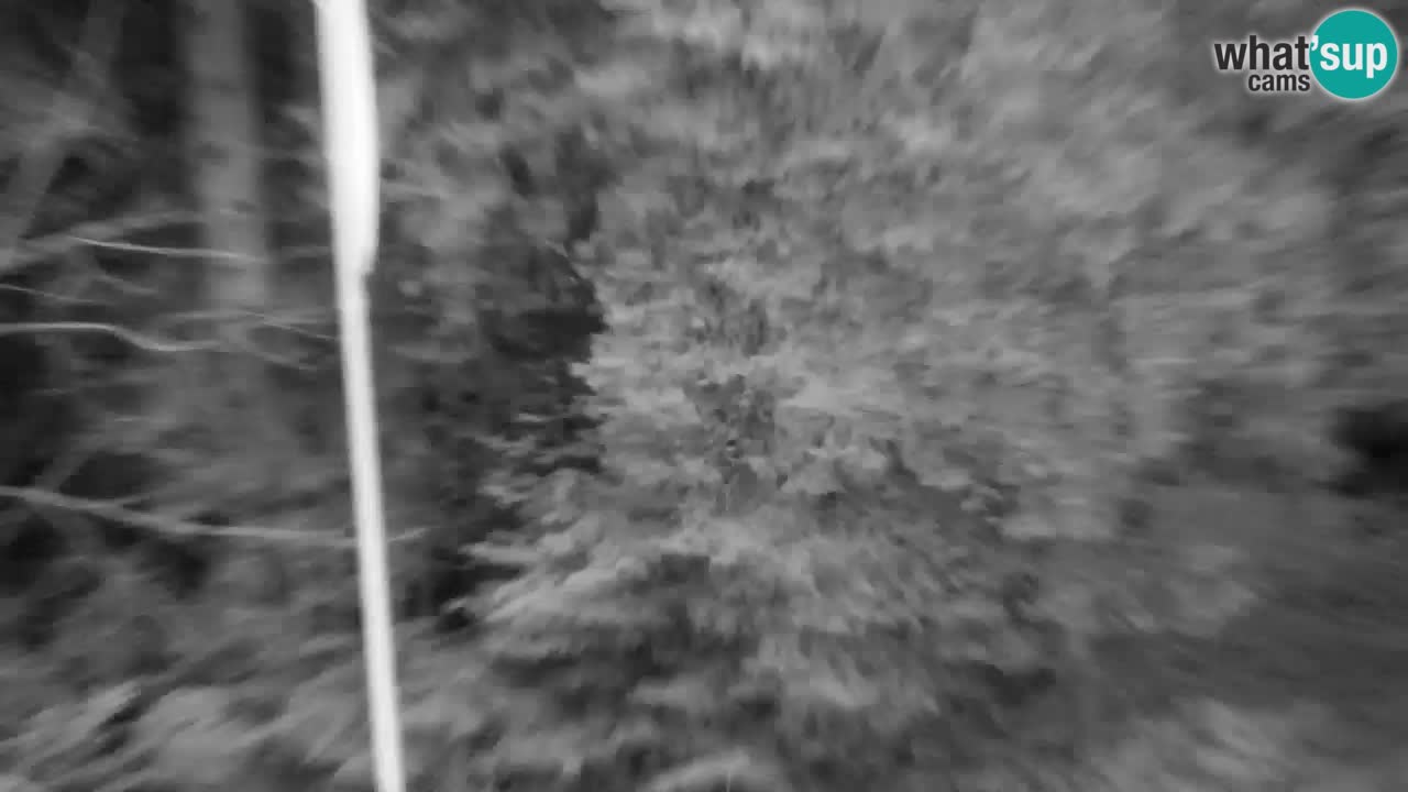 Webcam Lukanja – Water Village | Pohorje Houses