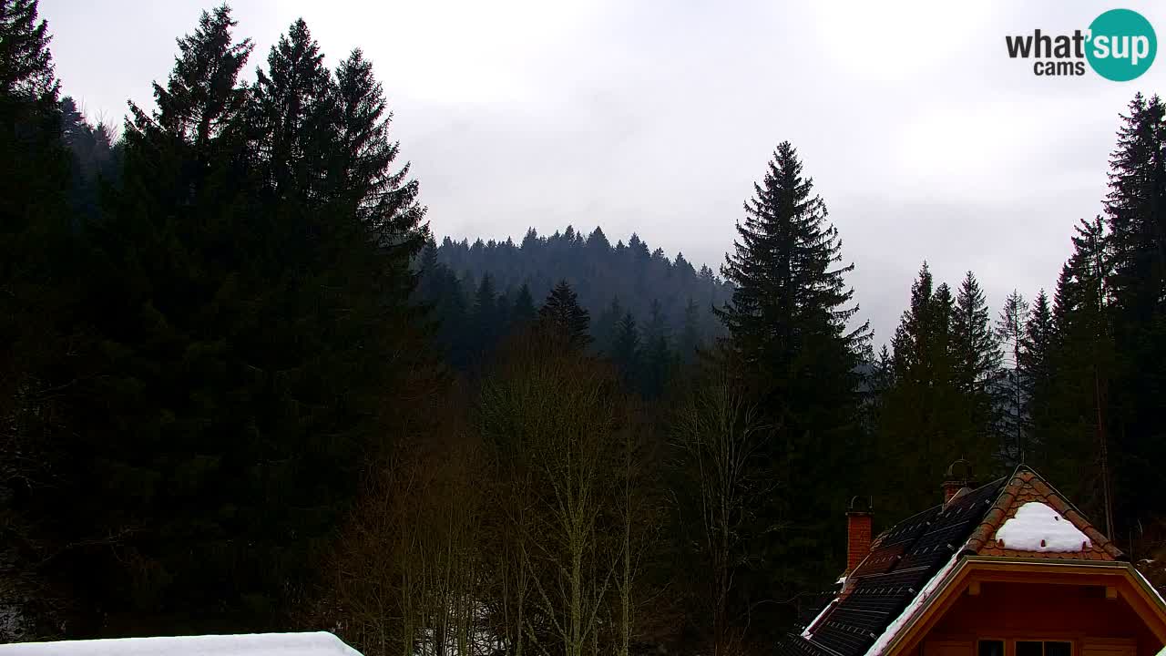 Webcam Lukanja – Pohorje houses a Water village