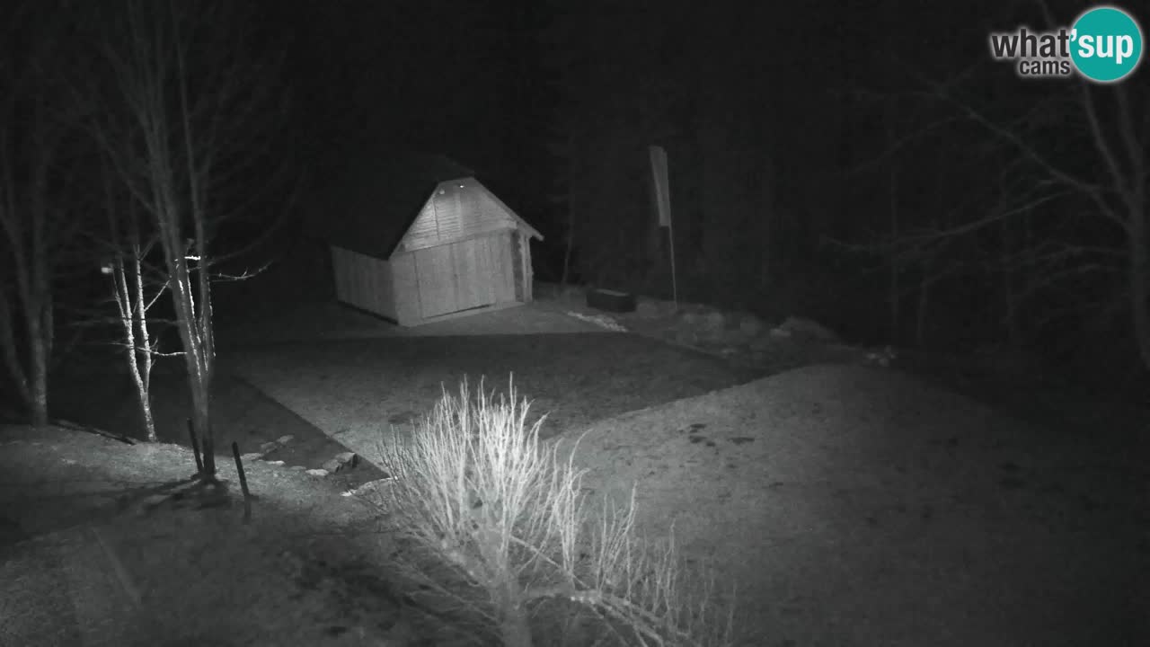 Webcam Lukanja – Pohorje houses a Water village