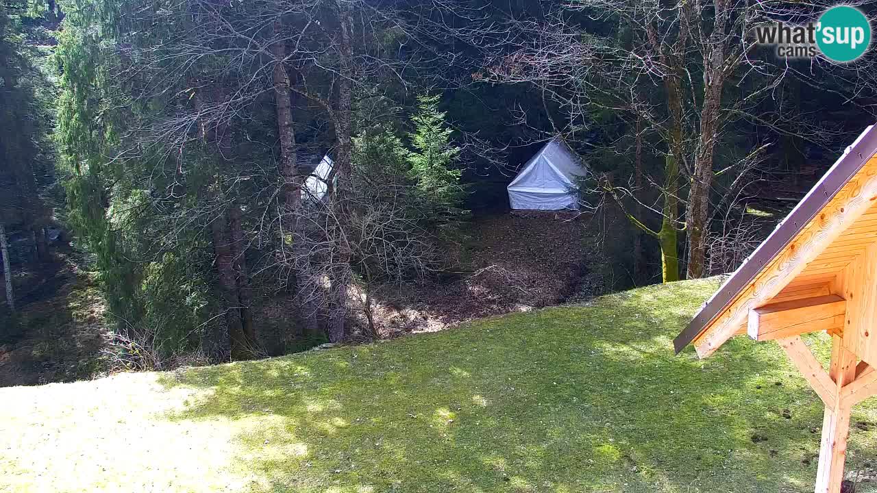 Webcam Lukanja – Water Village | Pohorje Houses