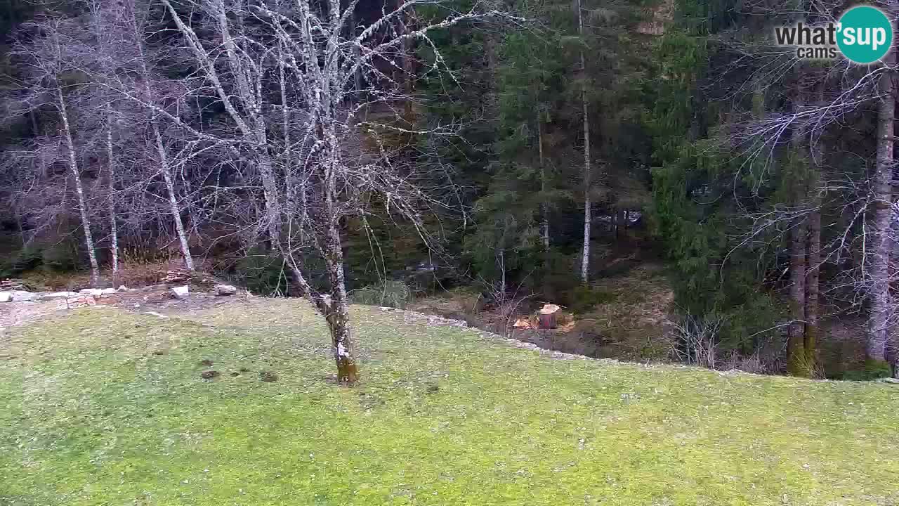 Webcam Lukanja – Pohorje houses a Water village