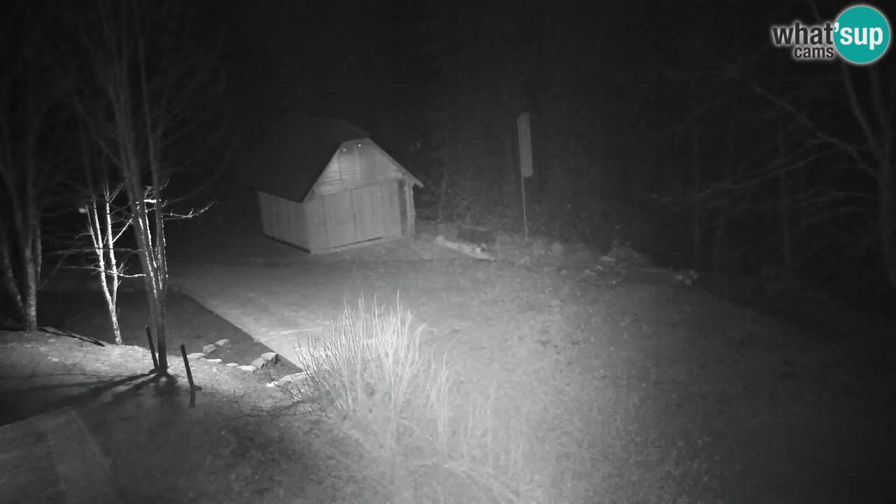 Webcam Lukanja – Water Village | Pohorje Houses