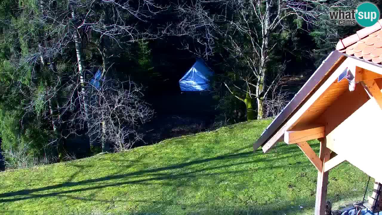 Webcam Lukanja – Water Village | Pohorje Houses