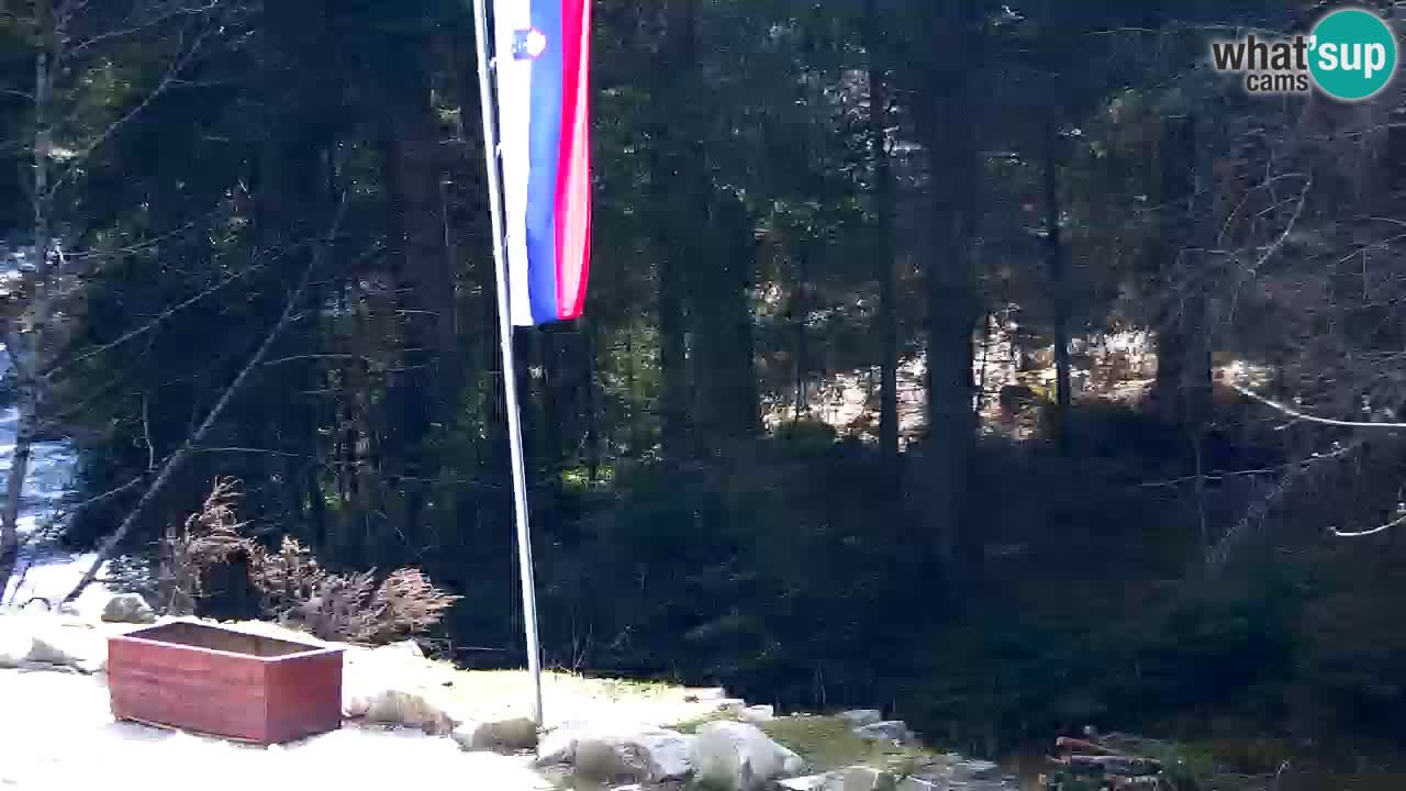 Webcam Lukanja – Pohorje houses a Water village