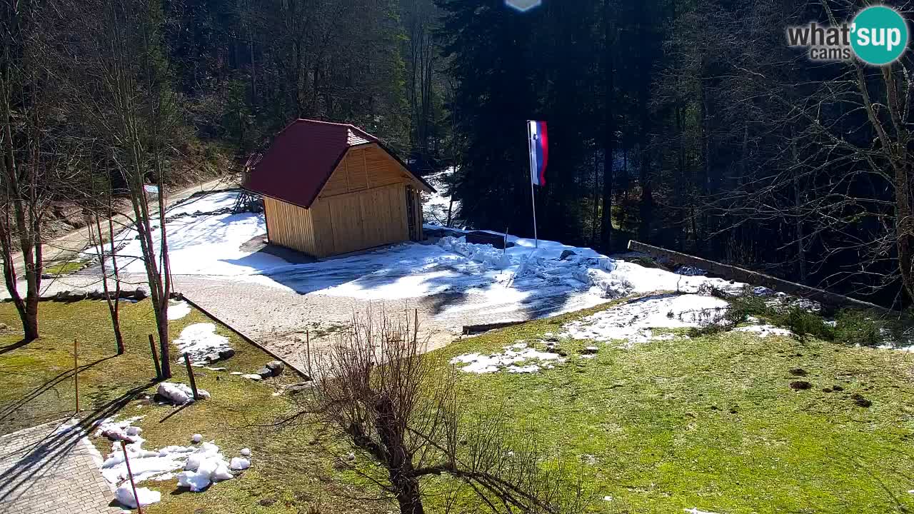 Webcam Lukanja – Water Village | Pohorje Houses