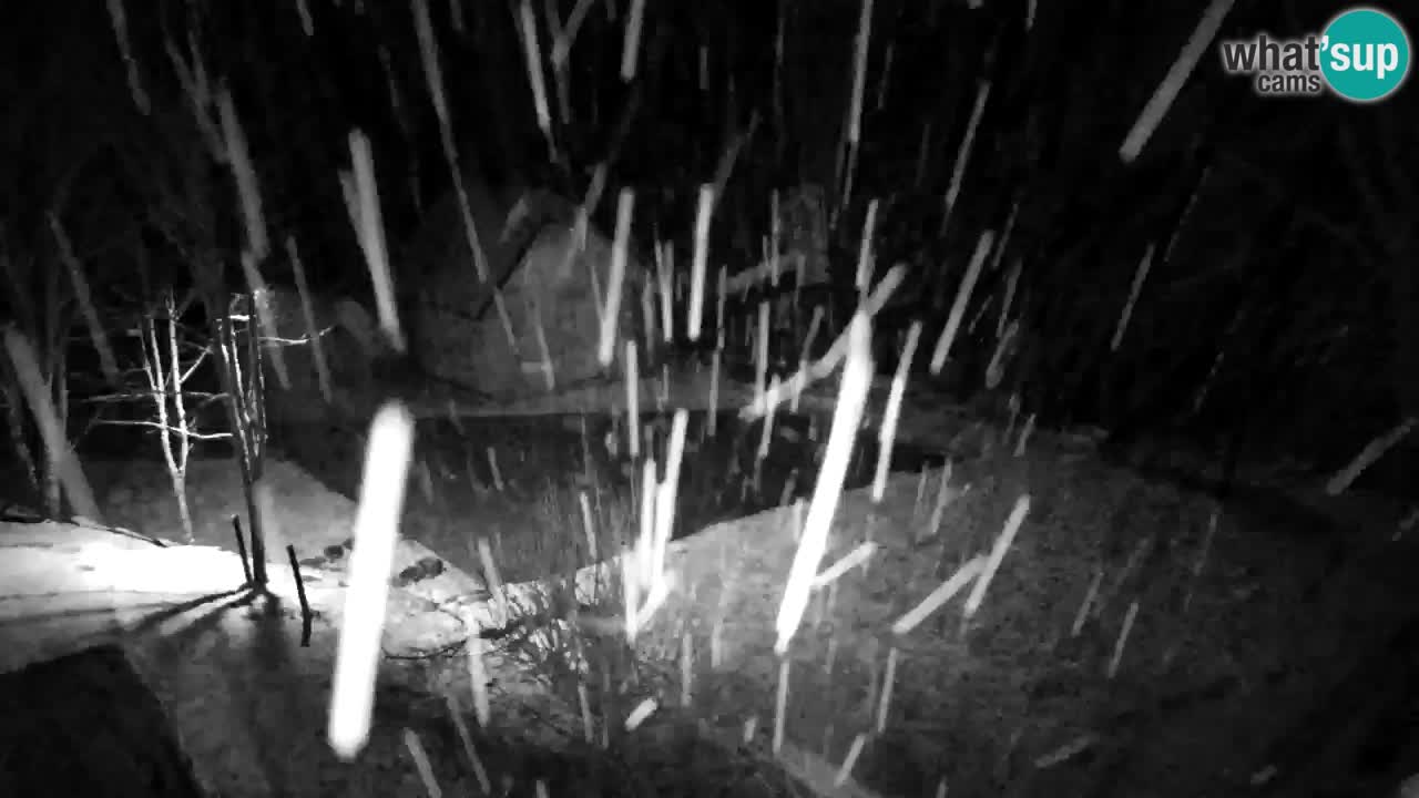 Webcam Lukanja – Water Village | Pohorje Houses