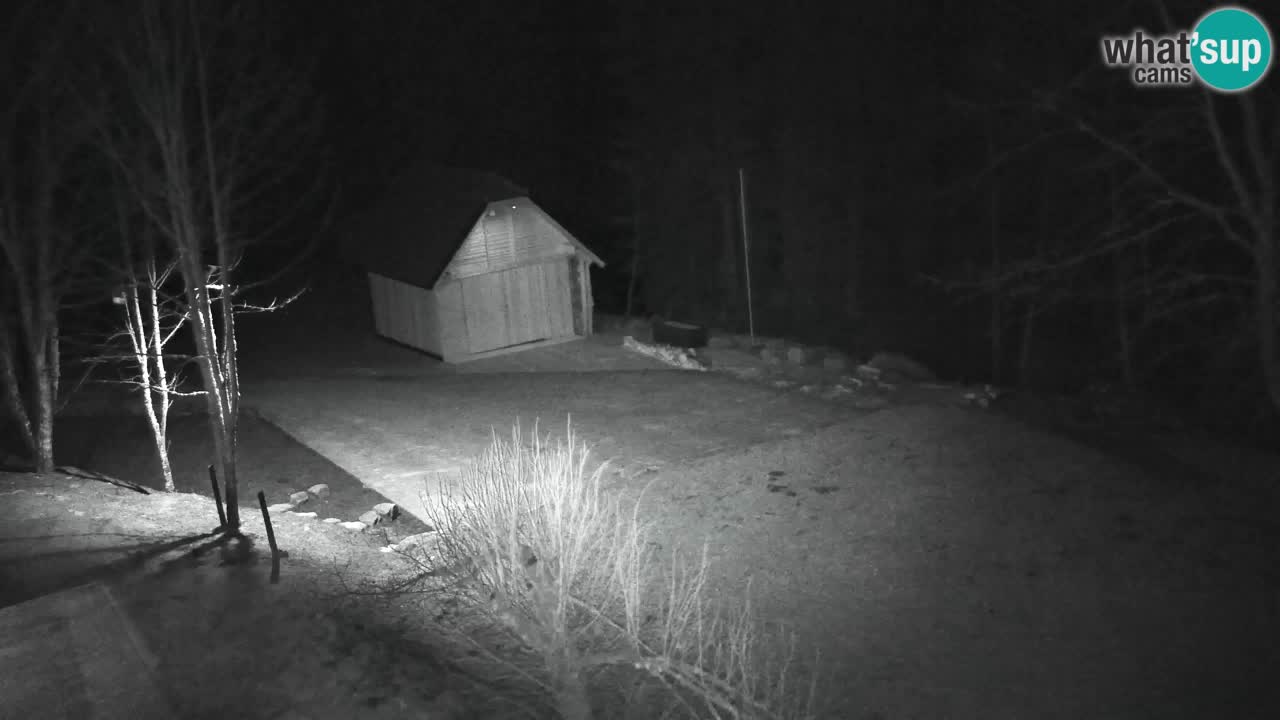 Webcam Lukanja – Pohorje houses a Water village