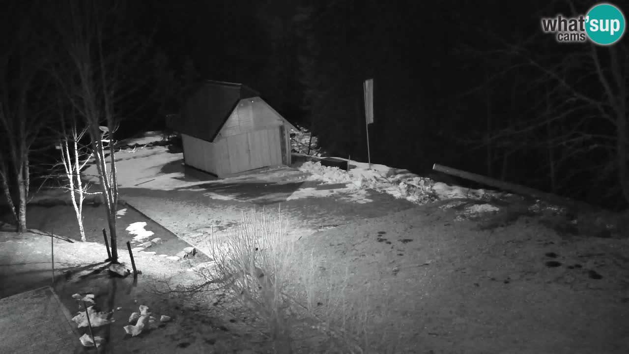 Spletna kamera Lukanja – Water Village | Pohorje Houses