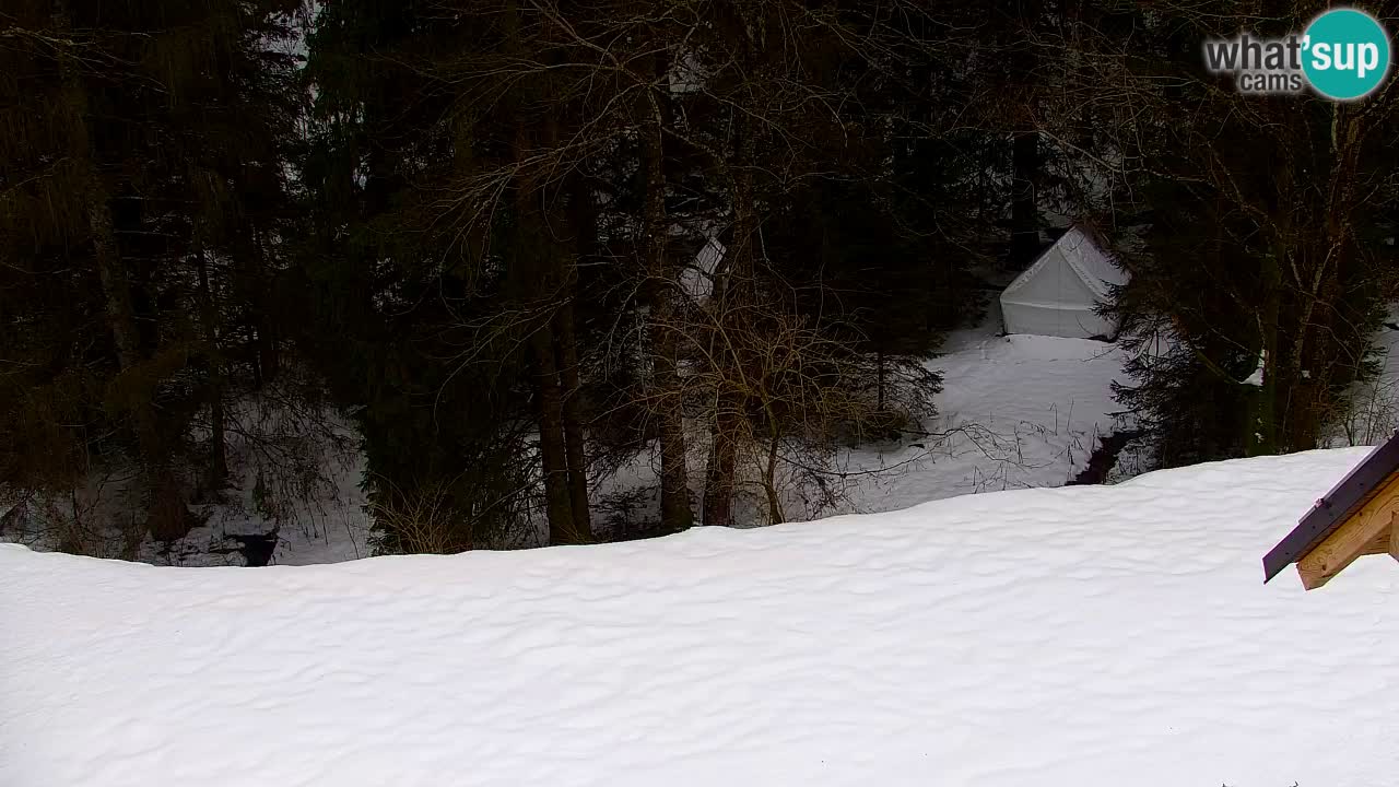 Webcam Lukanja – Water Village | Pohorje Houses