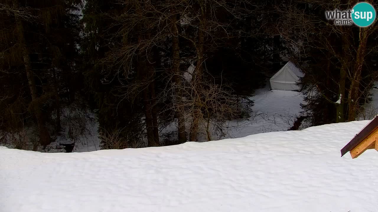 Spletna kamera Lukanja – Water Village | Pohorje Houses