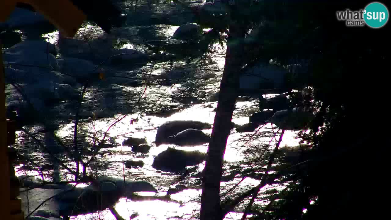 Webcam Lukanja – Water Village | Pohorje Houses