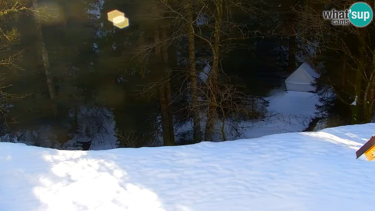 Webcam Lukanja – Water Village | Pohorje Houses