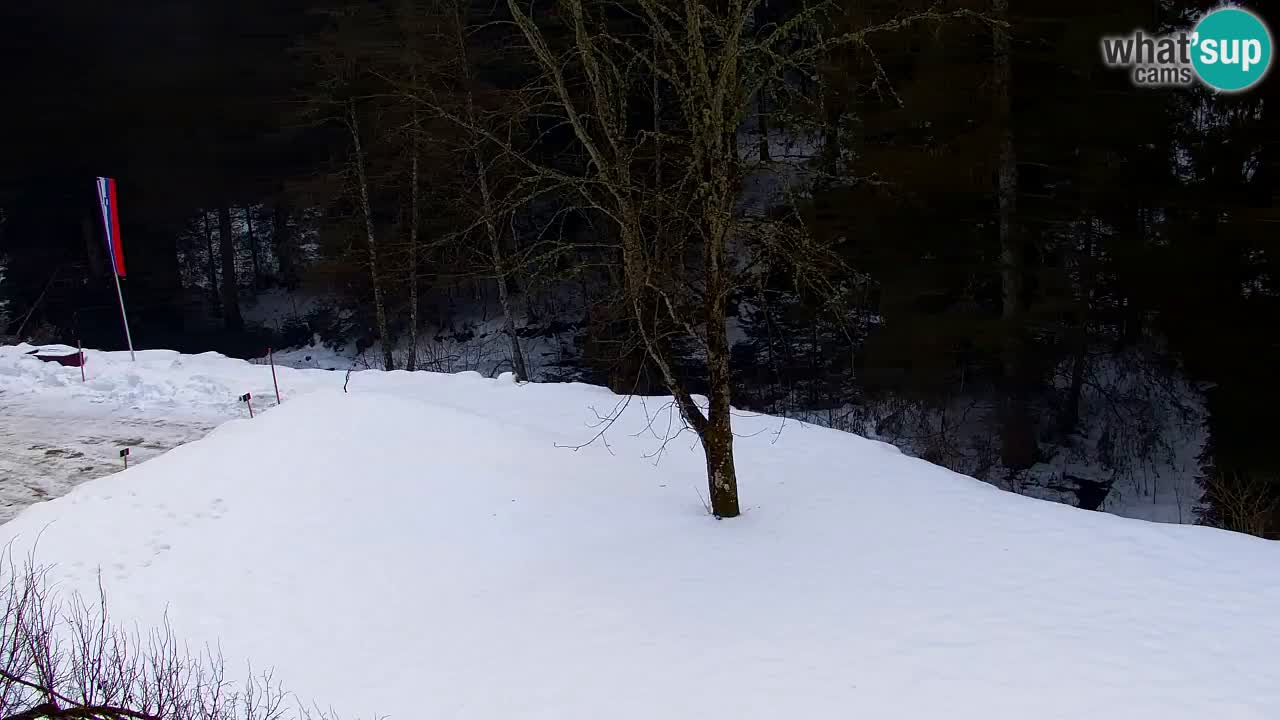 Web kamera Lukanja – Water Village | Pohorje Houses