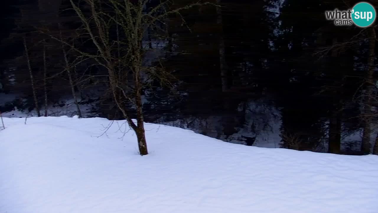 Web kamera Lukanja – Water Village | Pohorje Houses