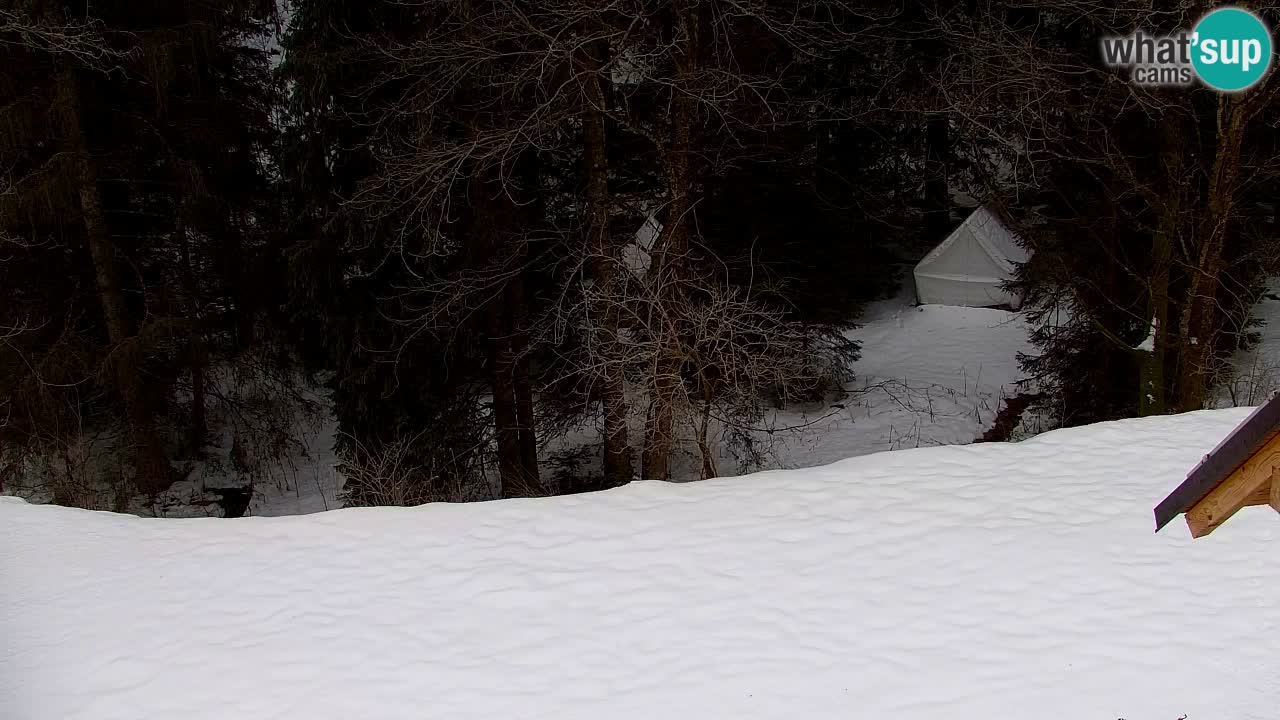 Webcam Lukanja – Water Village | Pohorje Houses