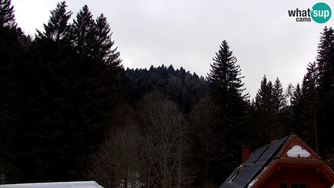 Webcam Lukanja – Pohorje houses a Water village