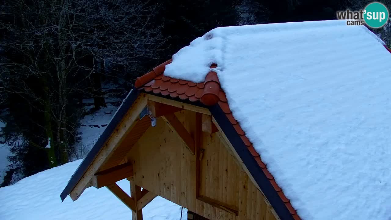 Webcam Lukanja – Water Village | Pohorje Houses