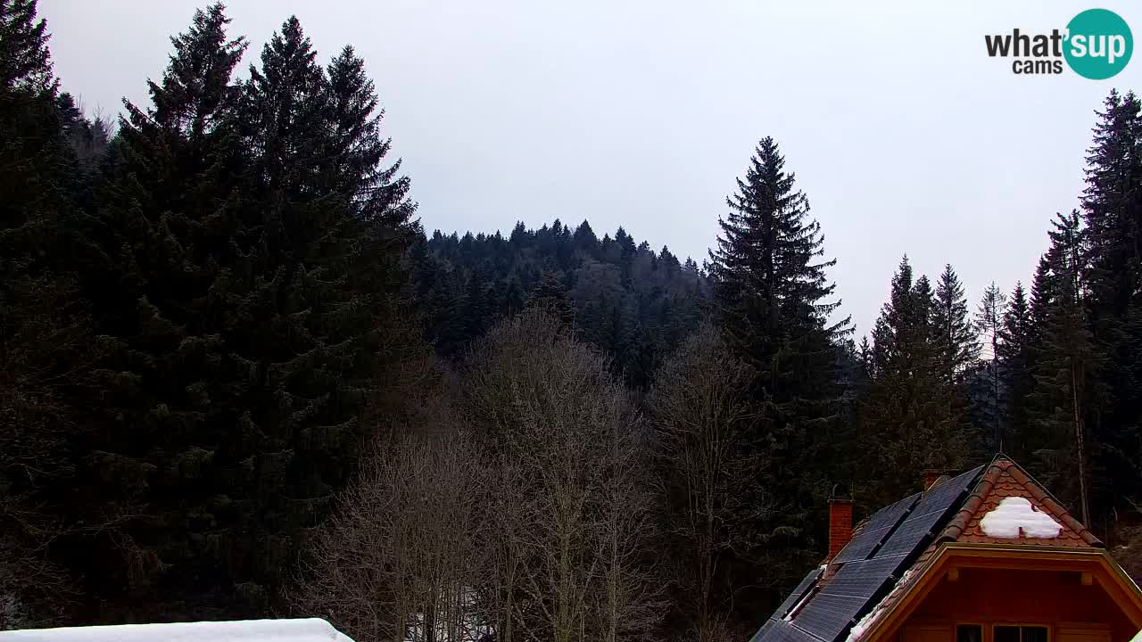 Spletna kamera Lukanja – Water Village | Pohorje Houses