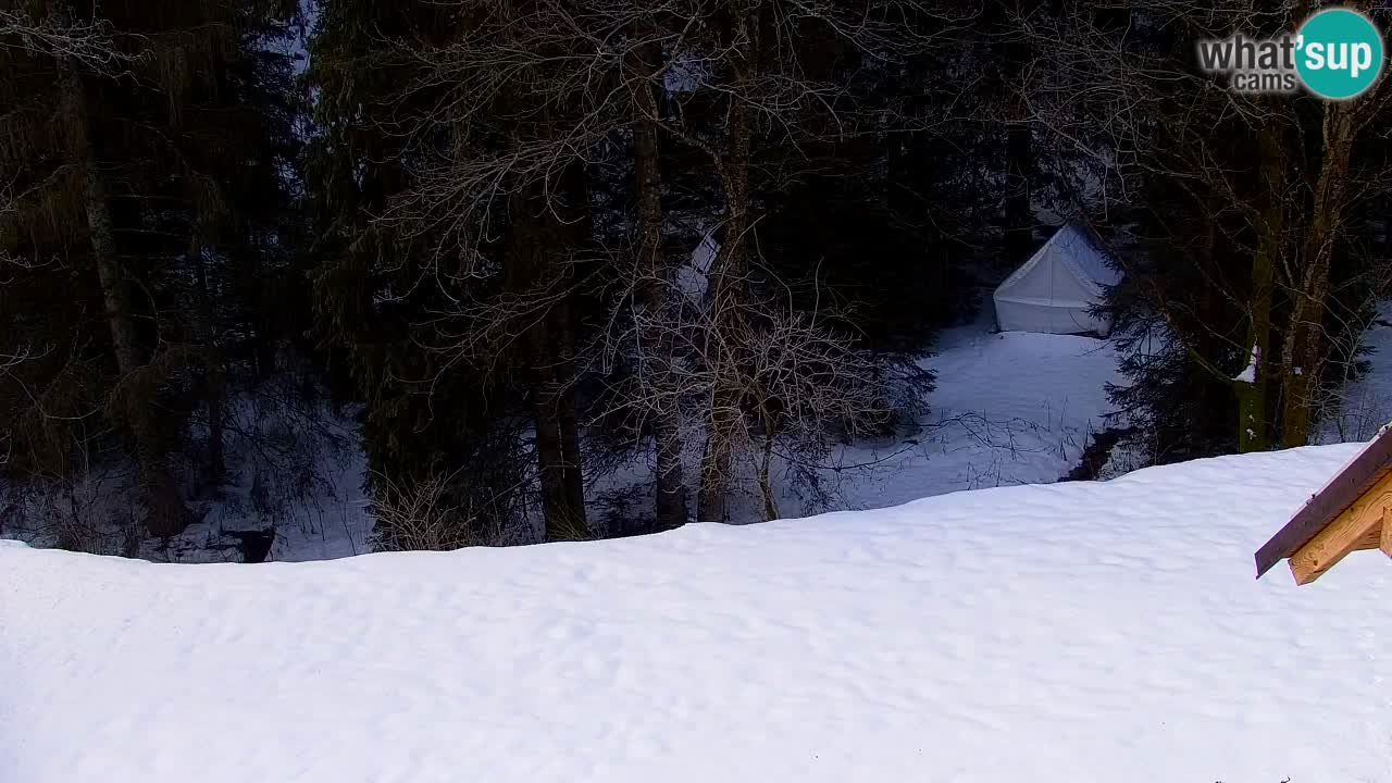 Webcam Lukanja – Pohorje houses a Water village