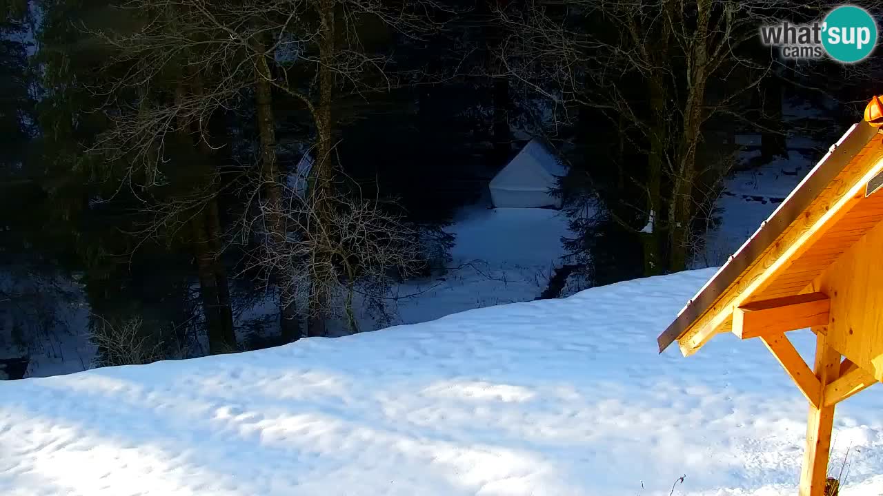 Webcam Lukanja – Water Village | Pohorje Houses