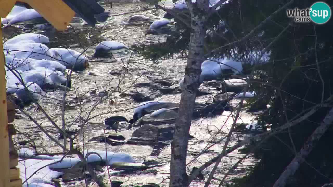 Web kamera Lukanja – Water Village | Pohorje Houses