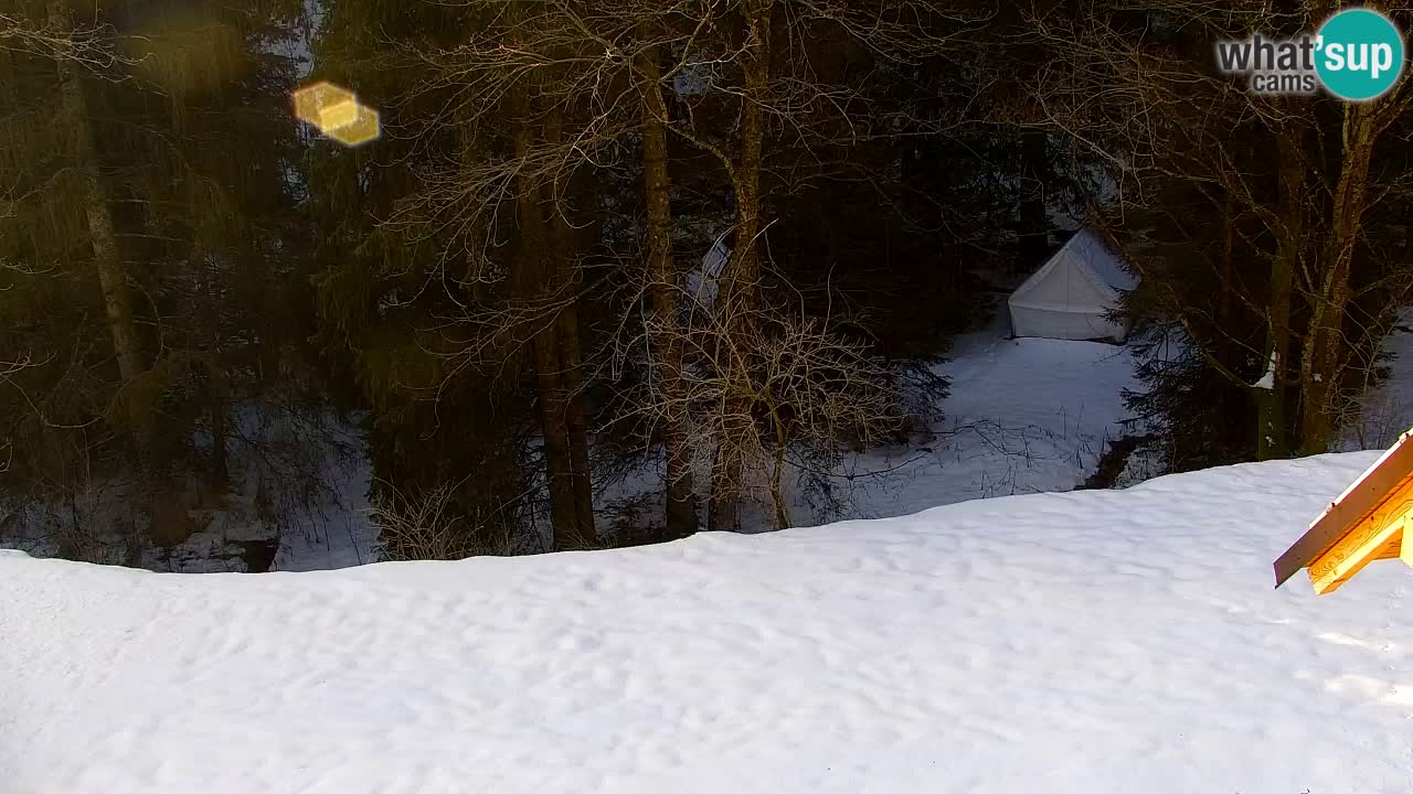 Webcam Lukanja – Water Village | Pohorje Houses