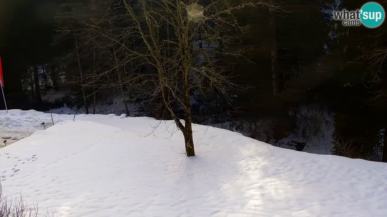 Webcam Lukanja – Pohorje houses a Water village