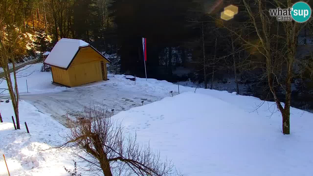 Spletna kamera Lukanja – Water Village | Pohorje Houses