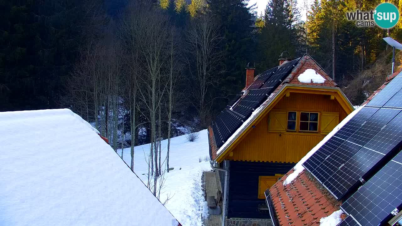 Webcam Lukanja – Water Village | Pohorje Houses