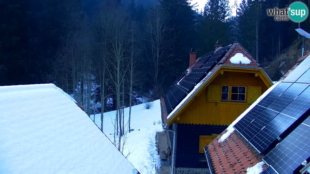 Spletna kamera Lukanja – Water Village | Pohorje Houses