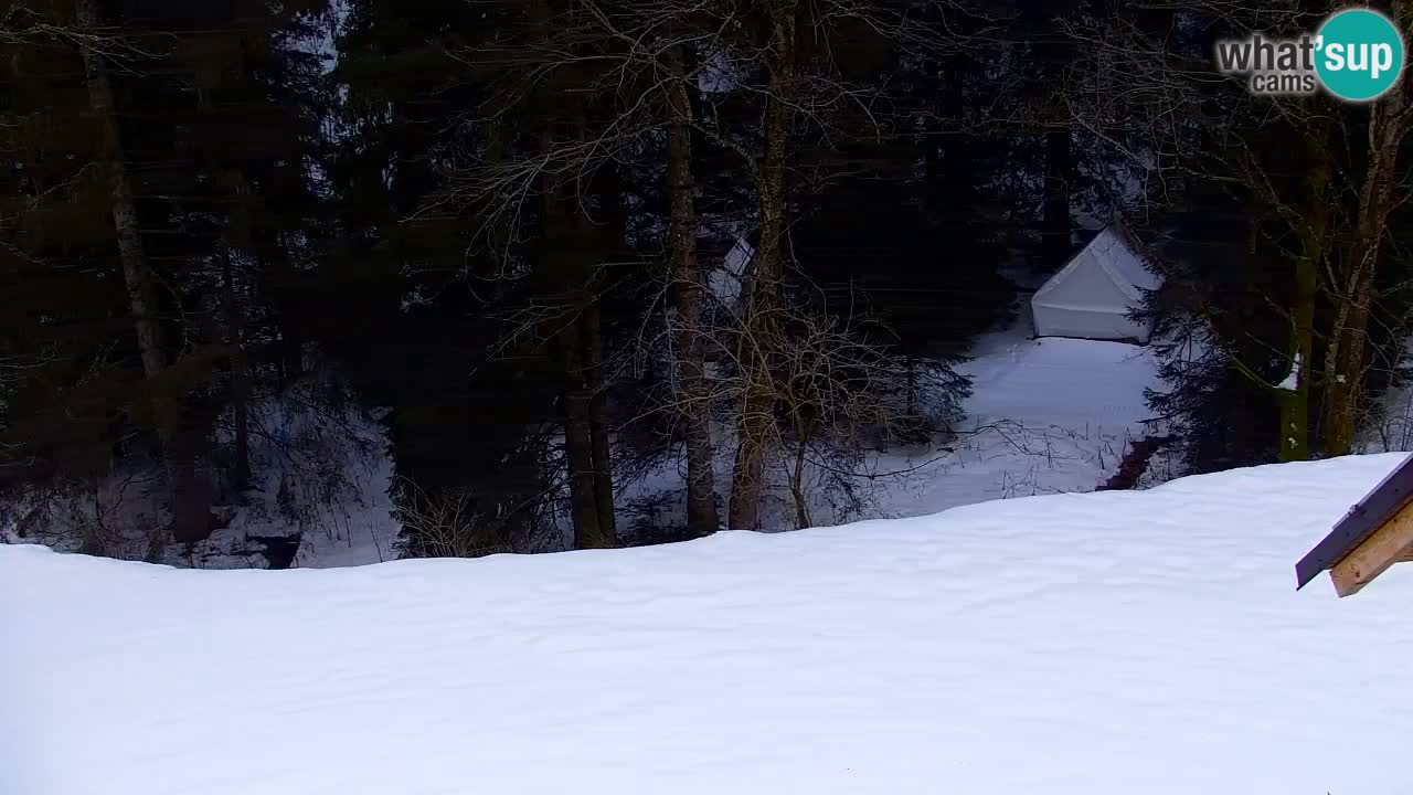 Web kamera Lukanja – Water Village | Pohorje Houses