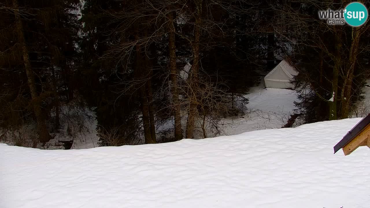 Webcam Lukanja – Water Village | Pohorje Houses