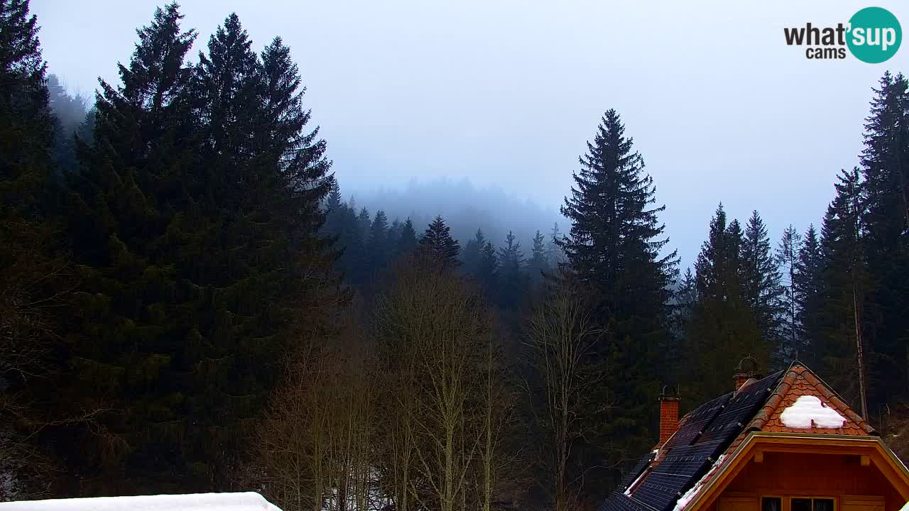 Spletna kamera Lukanja – Water Village | Pohorje Houses