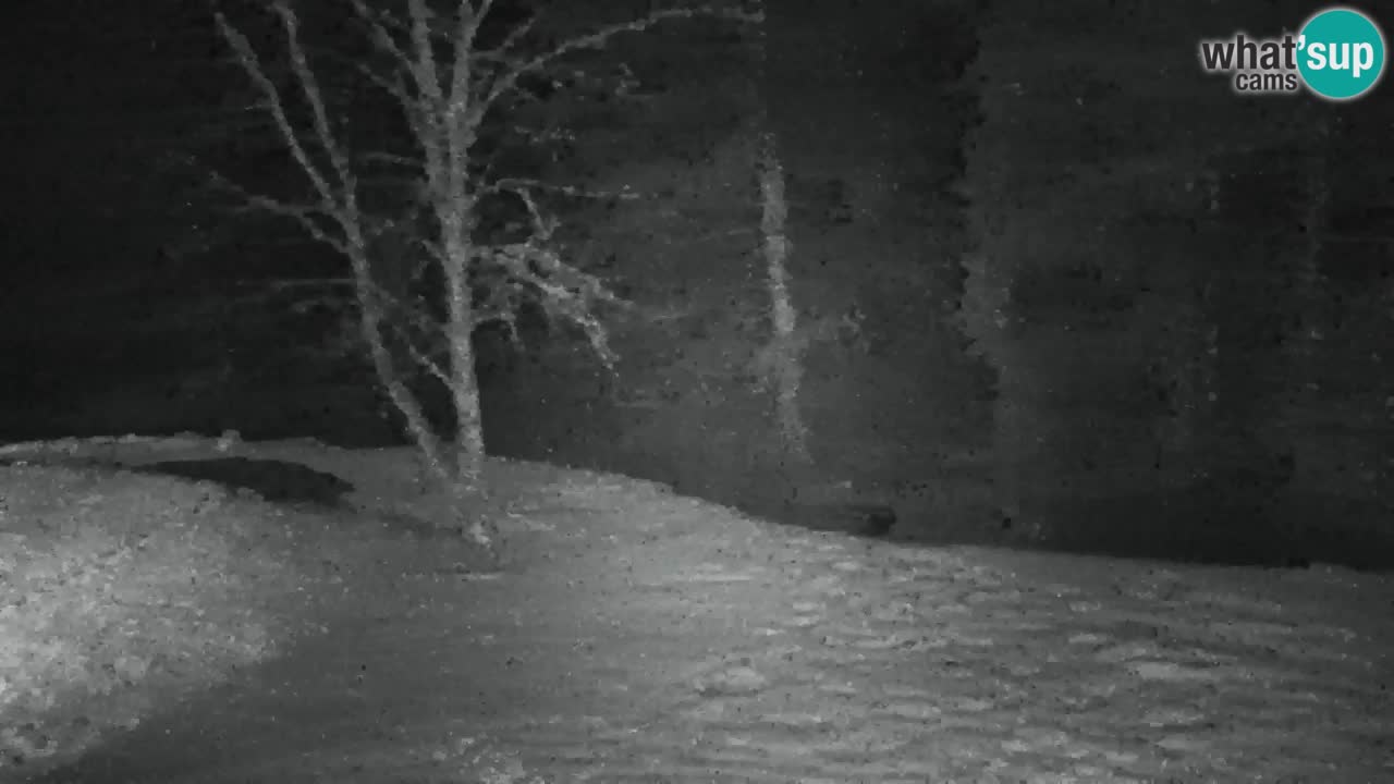 Webcam Lukanja – Water Village | Pohorje Houses