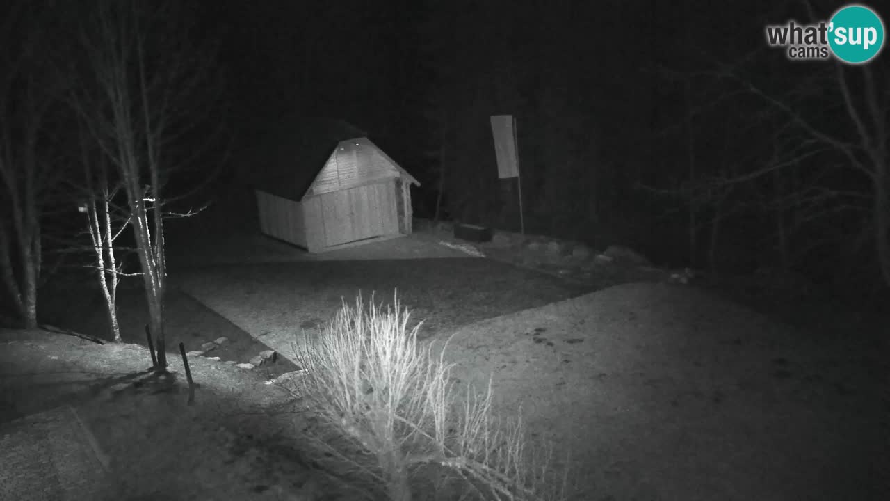 Web kamera Lukanja – Water Village | Pohorje Houses