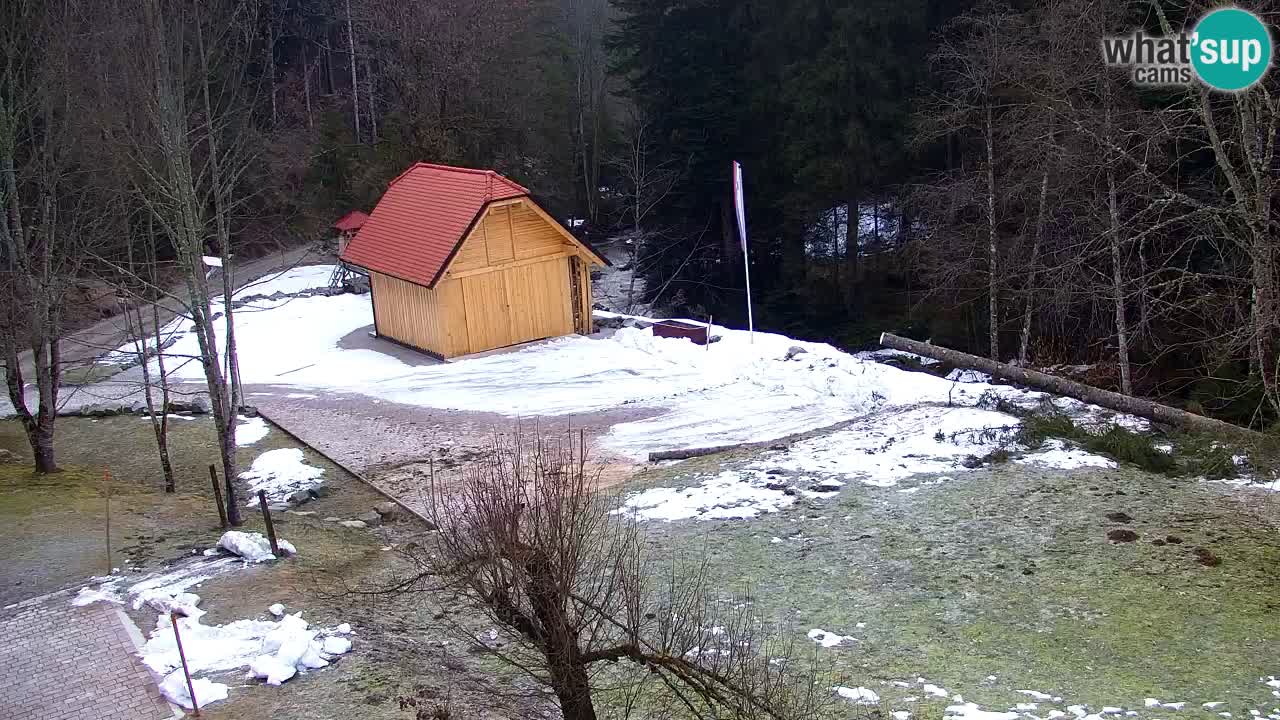 Webcam Lukanja – Pohorje houses a Water village