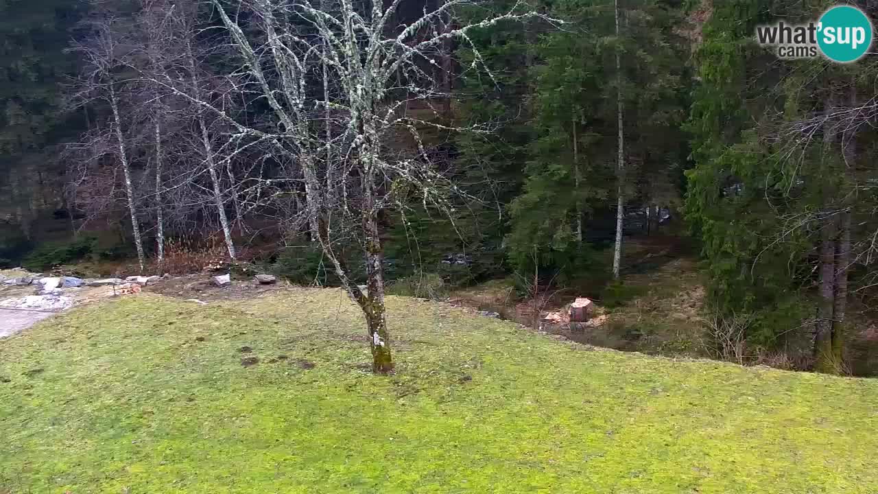 Webcam Lukanja – Water Village | Pohorje Houses