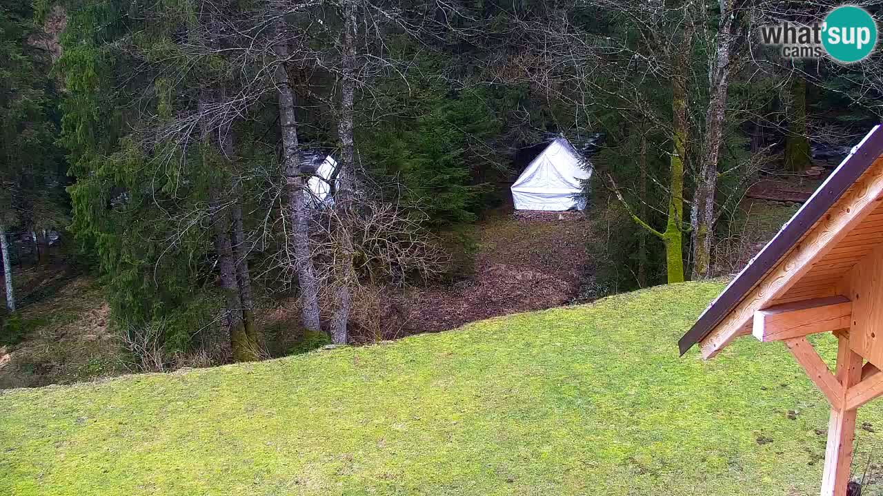 Webcam Lukanja – Water Village | Pohorje Houses