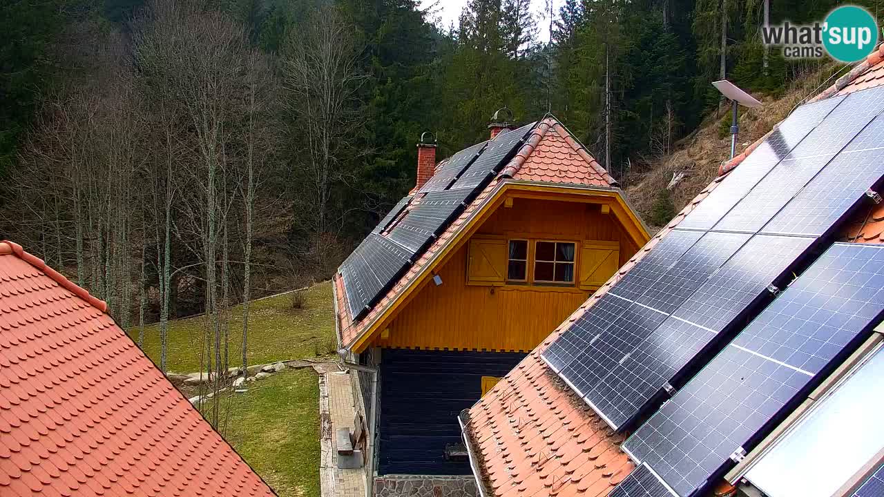 Webcam Lukanja – Water Village | Pohorje Houses