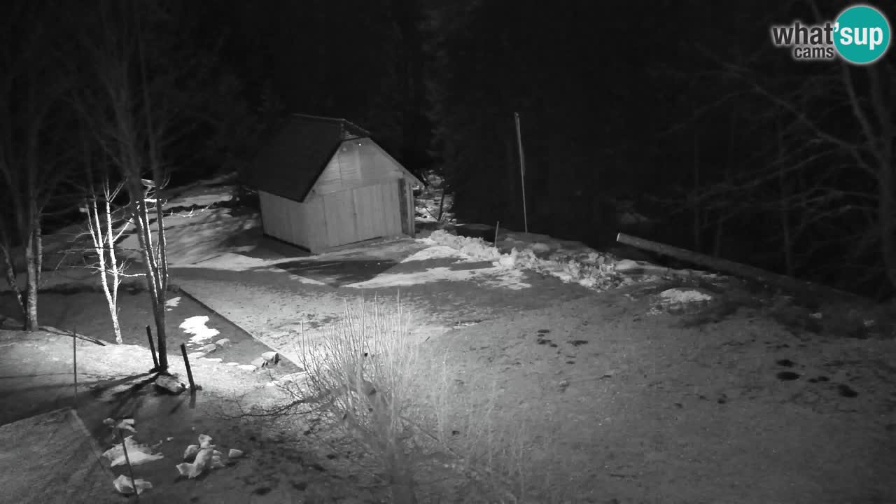 Web kamera Lukanja – Water Village | Pohorje Houses