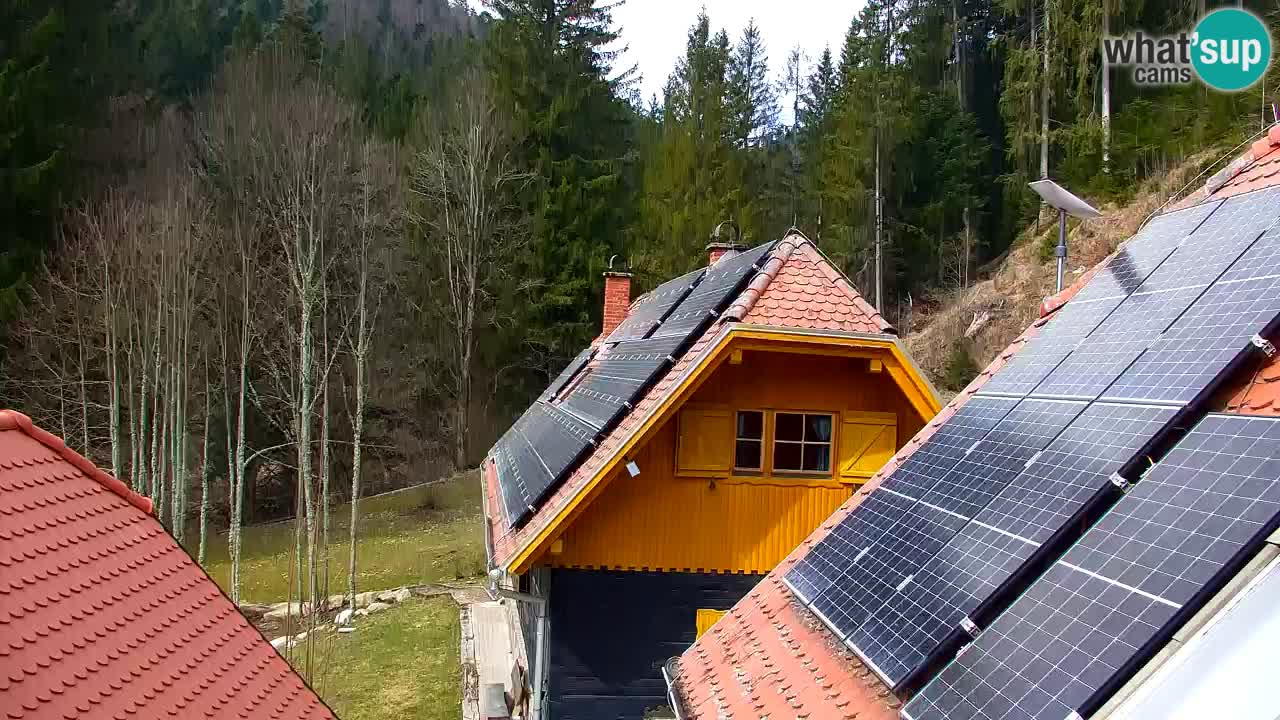 Webcam Lukanja – Water Village | Pohorje Houses