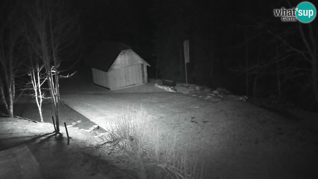 Webcam Lukanja – Pohorje houses a Water village