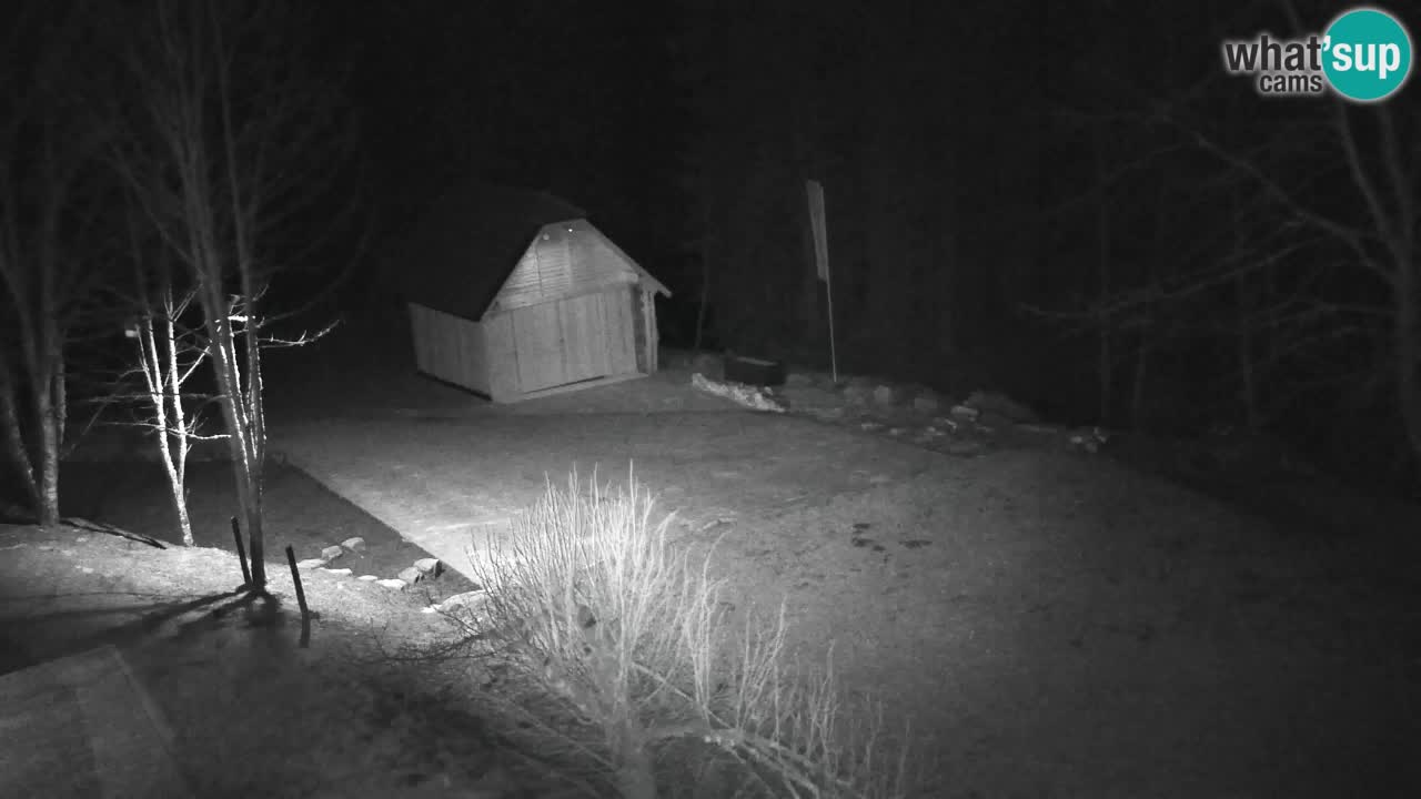 Webcam Lukanja – Pohorje houses a Water village