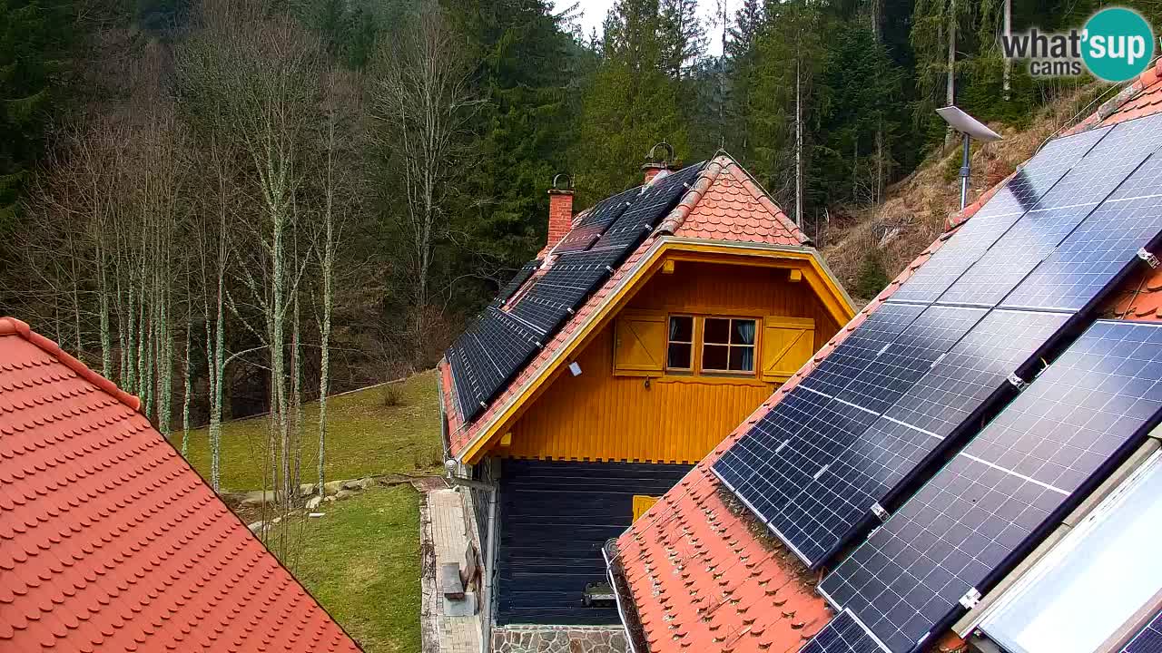Webcam Lukanja – Water Village | Pohorje Houses