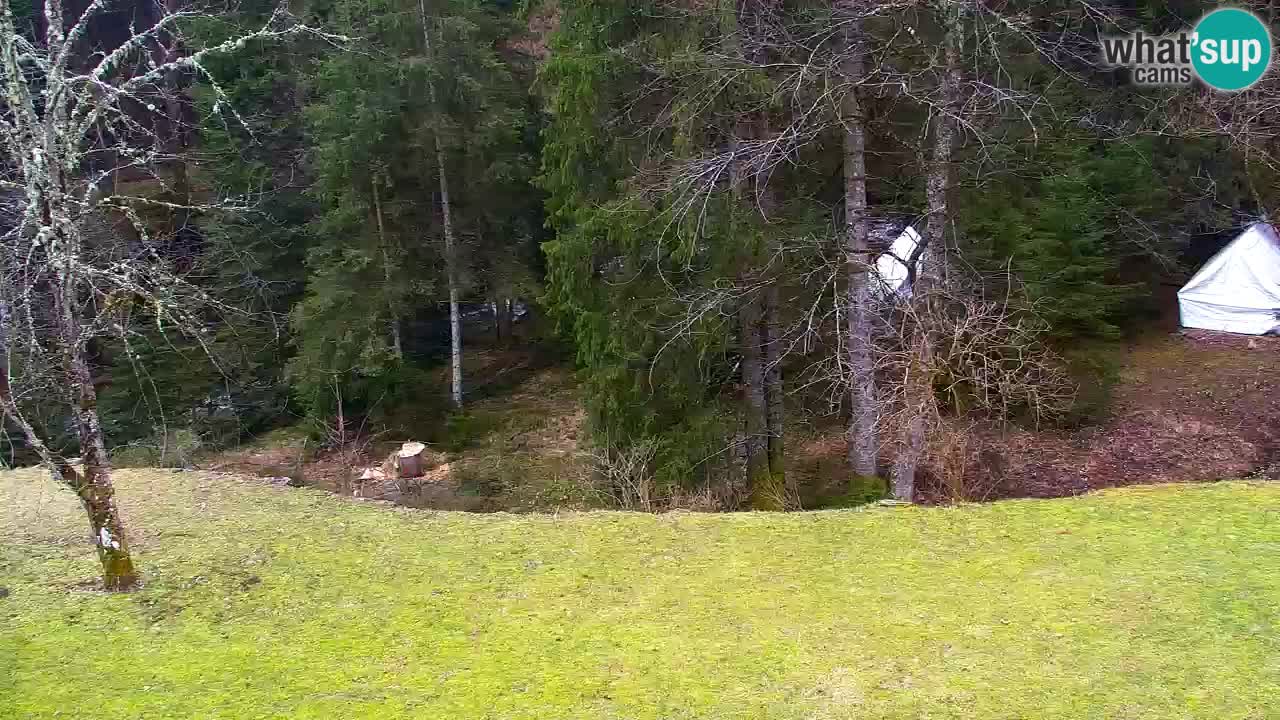 Webcam Lukanja – Water Village | Pohorje Houses
