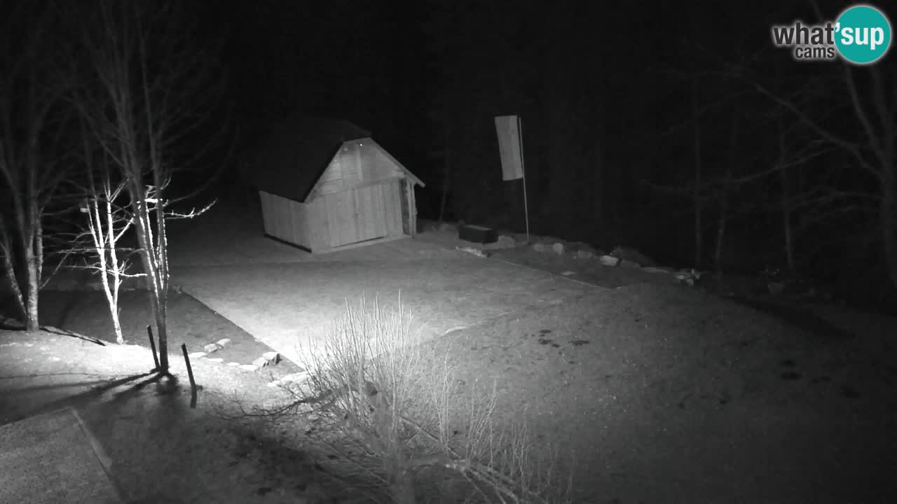 Webcam Lukanja – Water Village | Pohorje Houses